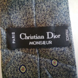 Christian dior slips